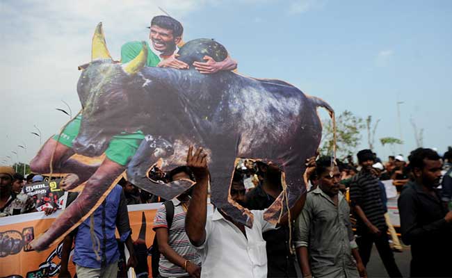 जल्लीकट्टू : केंद्र से मिली अध्यादेश को हरी झंडी, राष्ट्रपति के पास भेजा गया