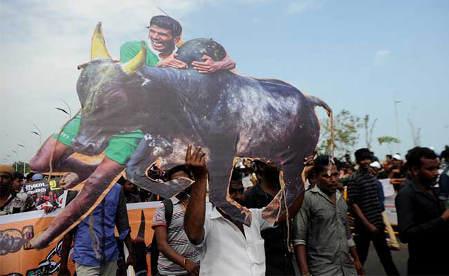 Order Allowing Jallikattu Moves Up The Ranks To The President: 10 Facts