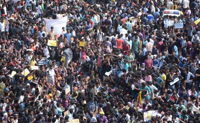 With Social Media, Jallikattu Protest On Chennai's Marina Beach Gets Even Larger