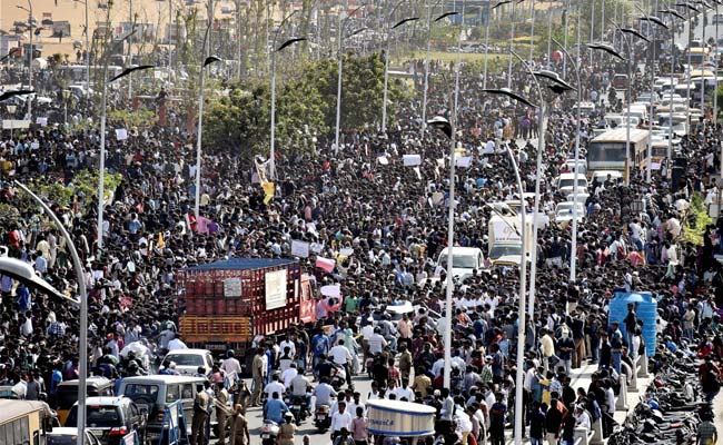 Jallikattu Wave At Chennai's Marina Beach As Thousands More Join Protest: 10 Points