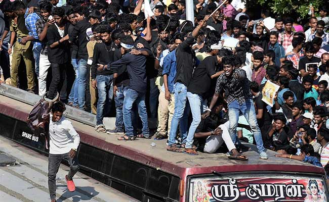 Tamil-Americans Join Ongoing Protest Against Jallikattu Ban In US