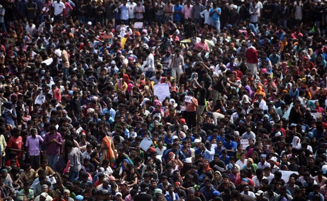 After 48-Hour Jallikattu Protest, A Deadline Has Gone, Over To Chief Minister: 10 Points