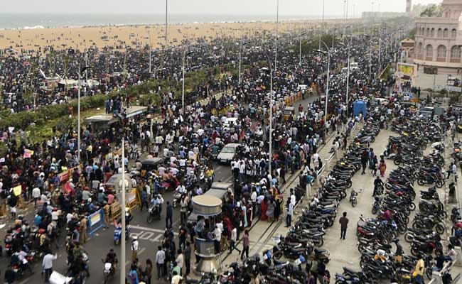 As Jallikattu Protests Swell, Tamil Nadu Looks At Legal Way Out: 10 Points