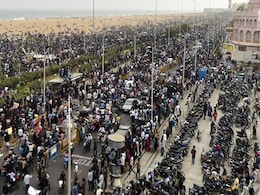 Supreme Court Slams Tamil Nadu On Jallikattu Protests, But No Stay On New Law Supreme Court Slams Tamil Nadu On Jallikattu Protests, But No Stay On New Law