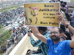 Foreign Media On Jallikattu And The Backlash Against PETA