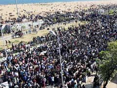 Day 3 Of Jallikattu Protests And The Mood At Chennai's Marina Beach Is Electrifying