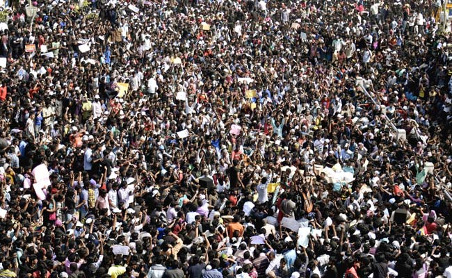 Protesters Refuse To Accept Ordinance On Jallikattu, Demand Permanent Solution