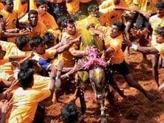 On Jallikattu, Centre or State Or Both May Act, Says Government's Top Lawyer