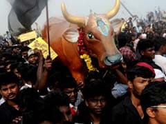 Tamil Musician Withdraws From Jallikattu Protests Over 'Anti-National' Elements