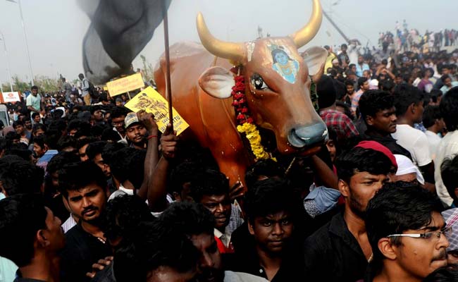 Tamil Musician Withdraws From Jallikattu Protests Over 'Anti-National' Elements