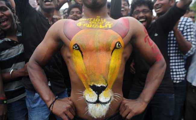 After Jallikattu, Calls For Lifting Ban On Animal Sport In Maharashtra, Karnataka