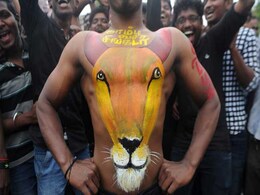 After Jallikattu, Calls For Lifting Ban On Animal Sport In Maharashtra, Karnataka After Jallikattu, Calls For Lifting Ban On Animal Sport In Maharashtra, Karnataka