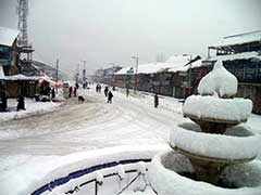 कश्मीर में बर्फबारी,  सैलानियों से लेकर स्थानीय कारोबारियों में खुशी की लहर