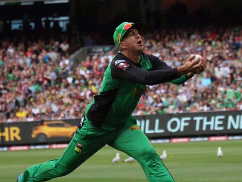Darren Lehmann Blasts Kevin Pietersen's Big Bash League ...