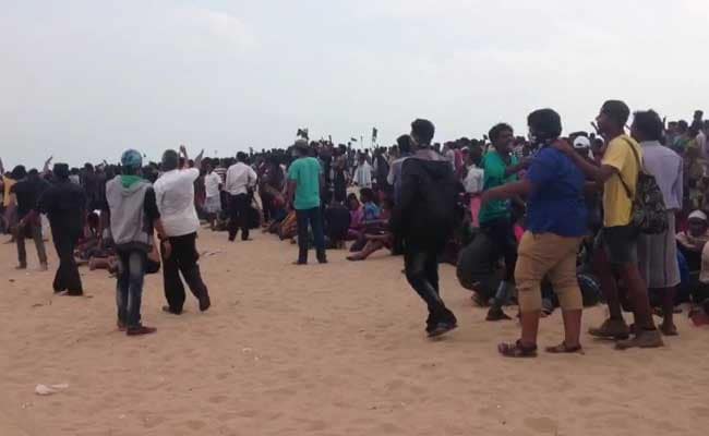 After Police Action At Chennai's Marina Beach, Opposition Walkout In Assembly