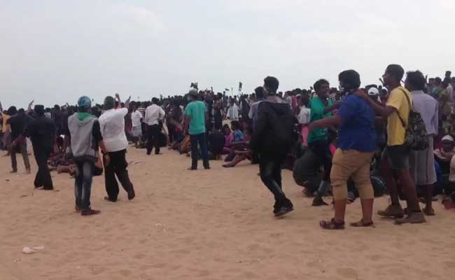 After Police Action At Chennai's Marina Beach, Opposition Walkout In Assembly