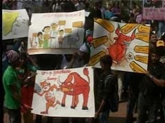 Will Jallikattu Protests Affect Chennai's Republic Day Parade? Protesters Say Yes