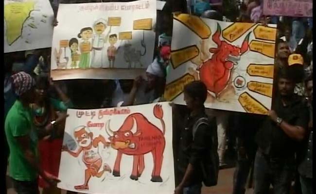 Will Jallikattu Protests Affect Chennai's Republic Day Parade? Protesters Say Yes