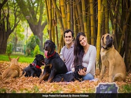 Pregnant Woman Asked To Give Up Dogs Replies With Beautiful Photoshoot Pregnant Woman Asked To Give Up Dogs Replies With Beautiful Photoshoot