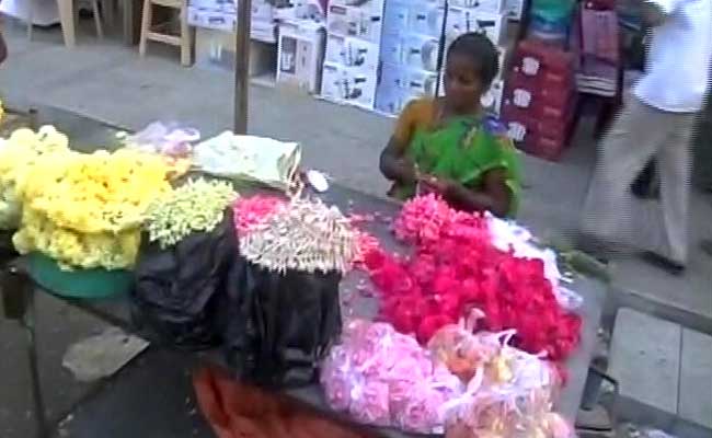 Pongal 2017: People Decorate Homes, Perform Poojas