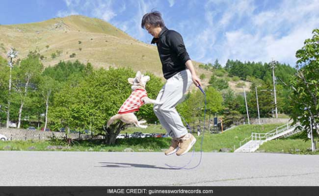 Dog, Owner Set New Guinness World Record For Skipping