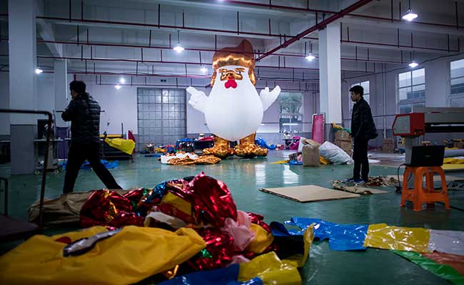 Chinese Factory Hatches Giant Donald Trump Chickens