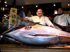 Bluefin Tuna Goes For $632,000 In 1st Tsukiji Auction Of '17