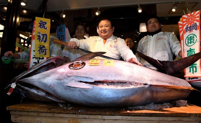 Bluefin Tuna Goes For $632,000 In 1st Tsukiji Auction Of '17