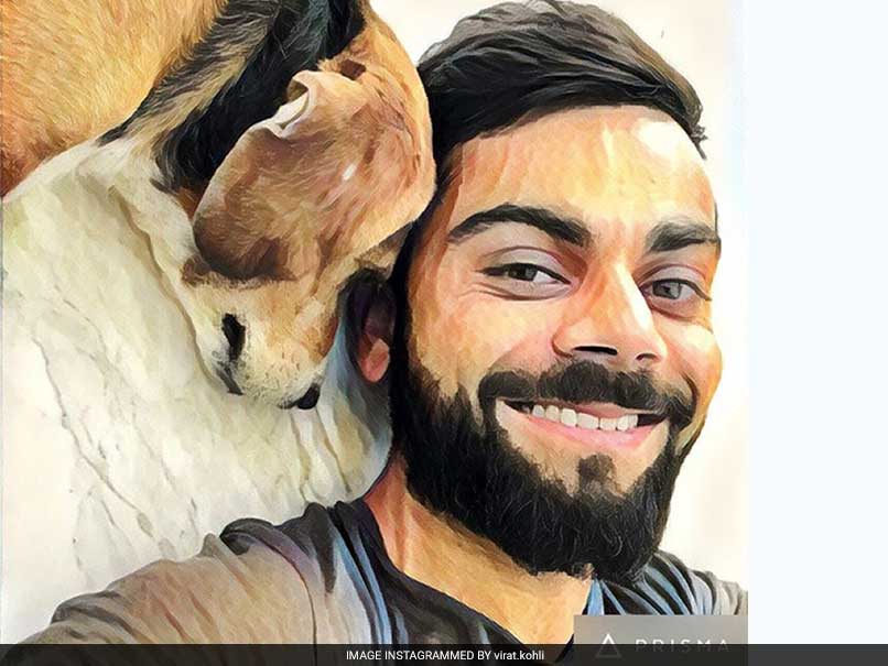 virat kohli with bruno