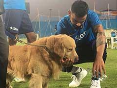 Virat Kohli Makes Friends With Sniffer Dog Prince At Pune Stadium