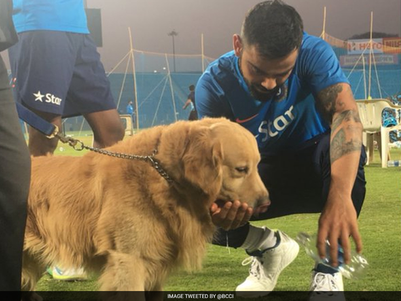 Virat Kohli Makes Friends With Sniffer Dog Prince At Pune Stadium