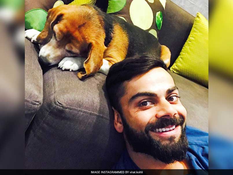 virat kohli with dog