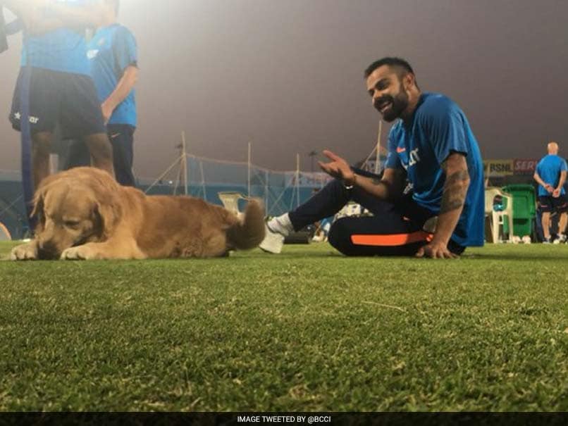 virat kohli with sniffer dog