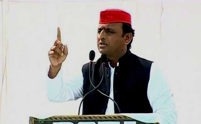 'Donkeys Are Loyal': Gujarat BJP's Retort To Akhilesh Yadav's Jibe At PM Narendra Modi