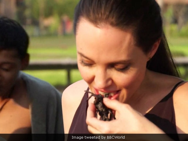 Angelina Jolie And Kids Cook And Eat Bugs In Cambodia. Watch Video, If You Can