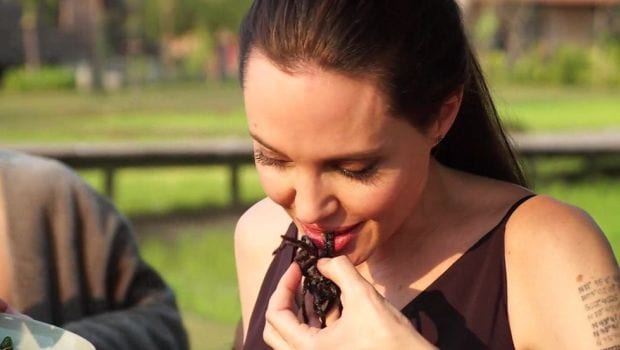 Shocking: Angelina Jolie and Kids Munch on Spiders and Crickets for Dinner