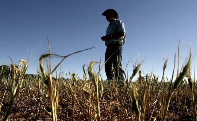 Wanted: High-Tech Graduates To Work With Aussie Farmers
