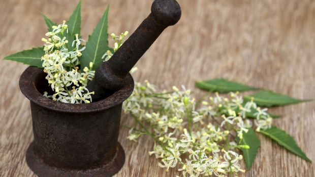 6 Everyday Ayurvedic Herbs That May Protect You From the Risk of Cancer