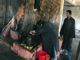 Kashmiri Muslims In Bandipore Celebrate Shivratri, Want Pandits To Return Kashmiri Muslims In Bandipore Celebrate Shivratri, Want Pandits To Return