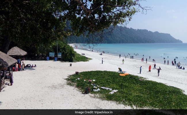 India's Radhanagar Beach Ranks 8th In The World: TripAdvisor India's Radhanagar Beach Ranks 8th In The World: TripAdvisor
