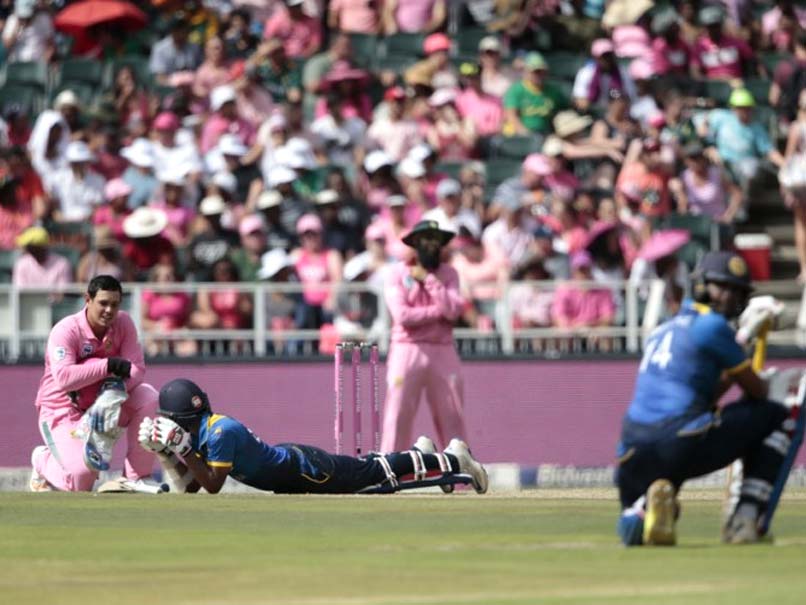Swarm of Bees Stop South Africa-Sri Lanka ODI at Wanderers