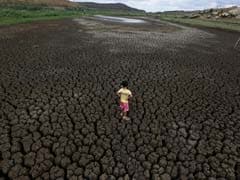 Brazil's Poorest Region Suffers Worst Drought In A Century