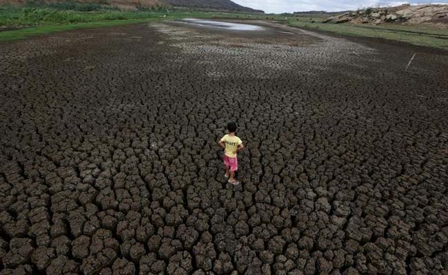 Brazil's Poorest Region Suffers Worst Drought In A Century