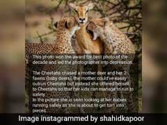 Shahid Kapoor Deletes Post After Real Story Behind Pic Goes Viral