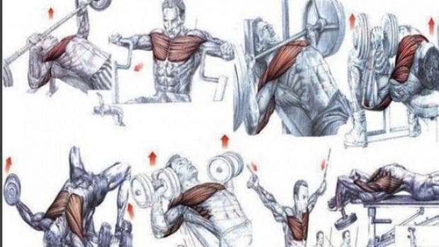 Outer best sale chest exercises