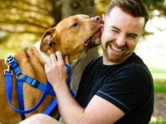 Should You Let Your Dog Lick You? Should You Let Your Dog Lick You?