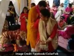 वीडियो : जब लाल और सुनहरी शेरवानी पहने कुत्ते ने दुल्हा-दुल्हन के साथ लिए फेरे..