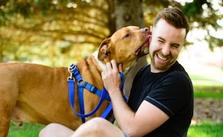 Should You Let Your Dog Lick You?