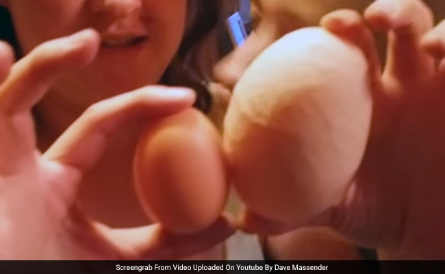 पहले अंडा आया या मुर्गी? वायरल वीडियो में सुलझ गई दुनिया की सबसे पुरानी पहेली!