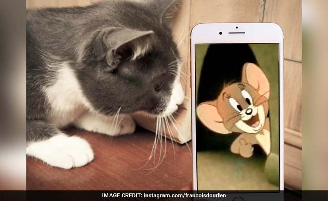 Artist Brings Cartoon Characters To Life With Just His iPhone